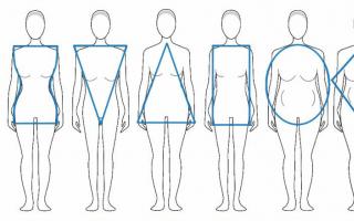 Основные типы телосложения человека